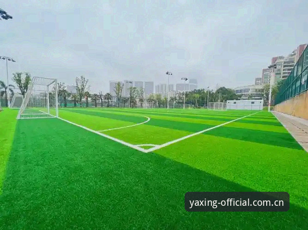如何通过亚星YX下载开启体育娱乐新体验？